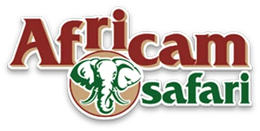 cliente_africam